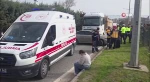 Sosyal medyada yayılan “nihilist penguen” paylaşımları dikkat çekiyor