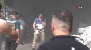 Tarihi yarımadanın maskotu olan tilki, sporcunun elinden beslendi