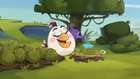 Angry Birds Toons 3.Sezon 14.Bölüm