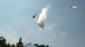 Bursa'da korkutan orman yangını!