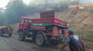 Bursa'da boyundan büyük hayvanlara çobanlık yapıyor