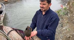 Bursa'daki hain saldırının arkasında kim var?