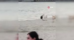 Polis, motosiklet hırsızını vatandaşın motosikletiyle kovaladı