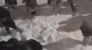 Öğrencinin üzerine kar kütlesi düştü!