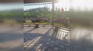 Reyhanlı’da gölü düşen kız çocuğu babası tarafından kurtarıldı