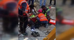 Tarsus'ta devlet ormanına buğday eken 4 kişi için hukuksal süreç başladı!