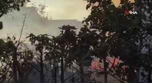 Bursa'da akılalmaz olay! Köprüden atladı, aracın camından içeri girdi...