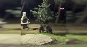 Türk Marşı'nı muhteşem çalan kuryeye büyük davet