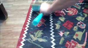 Kedi Tüyü Nasıl Temizlenir (Pratik Bilgi)