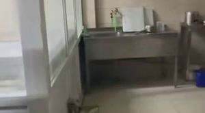 Bursa'da korkutan kaza: Yayaya motosiklet çarptı: 3 yaralı