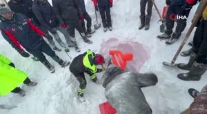 Binlerce insan göz göre göre ölecekti...İyi ki kentsel dönüşüme girmiş