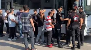 TİGEM tay satışından tek seferde 23 milyon 45 bin liralık gelir elde etti