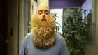 2750 toothpicks in a beard