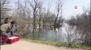 Osmangazi Kitap Fuarı 8’inci gününde de doldu taştı