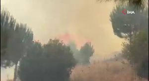İki aile arasında silahlı kavga: 1 ölü, 2 yaralı