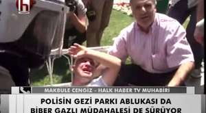 Taksim Gezi Parkı