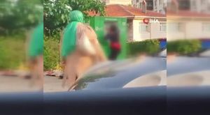 Bursa'da 8 yaşındaki Ecrin hayvan pazarının en küçük satıcısı