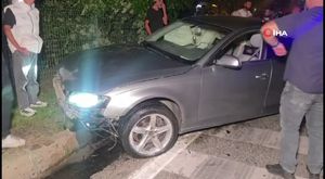 Bursa'da İznik gölünün yanı başında yangın paniği!