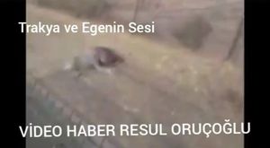 Şehit Uzman Çavuş Bayram Günay, Uzunköprü Dere köyde gözyaşlarıyla uğurlandı Cenaze Videosu 