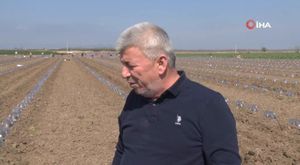 Müstakil ev alevlere teslim oldu