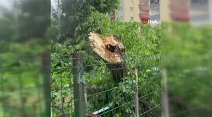 Bursa'da iki araç kafa kafaya çarpıştı: 1 kişinin öldüğü kaza kamerada!