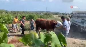 Asansör boşluğuna düşen genç ağır yaralandı