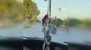 Bursa'da fırtınanın bilançosu ağırlaşıyor! Uçan çatı otobüsün üzerine düştü, ağaraçlar devrildi... (1)